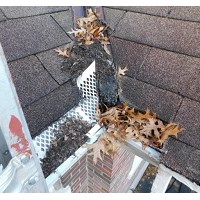 Портфолио Anthony Chambers